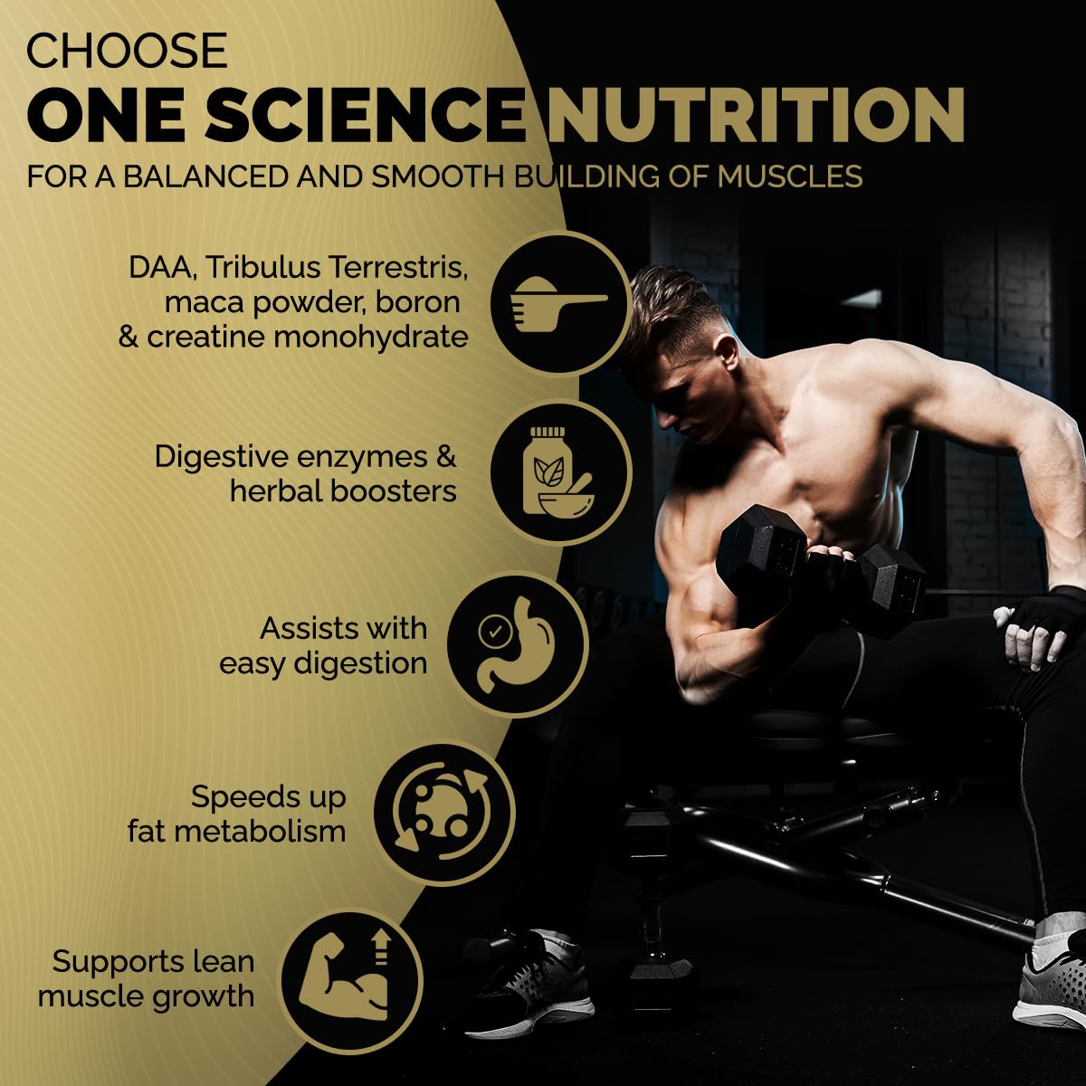 One Science Nutrition Nitra Whey Protein