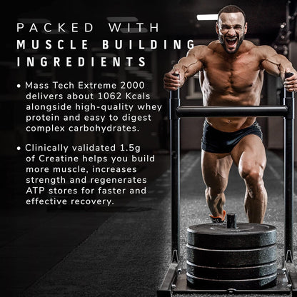 MuscleTech MassTech Extreme 2000 Mass Gainer Powder